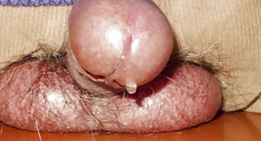 జ్యుసి నోటితో మొడ్ఢ చీకడం తర్వాత పుస్సీ సెక్స్ మూవీ తెలుగు తెలుగు లో పెద్ద గాడిద ఆకర్షణీయమైన ఆత్మవిశ్వాసం