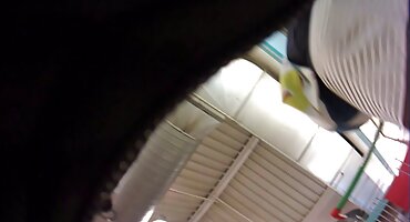 పెద్ధమొడ్ఢ అనుకూలంగా తీపి అమ్మాయి యొక్క పూకు తెలుగు తెలుగు సెక్స్ మూవీస్ దుర్బుద్ధి నల్లటి జుట్టు గల స్త్రీని