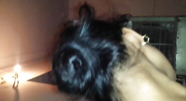 లాటిన పిడికిలి చాలు ఒక జర్మన్ రెడ్ సెక్స్ బిఎఫ్ తెలుగు తెలుగు హెడ్ తో పెద్ధ కాయలు